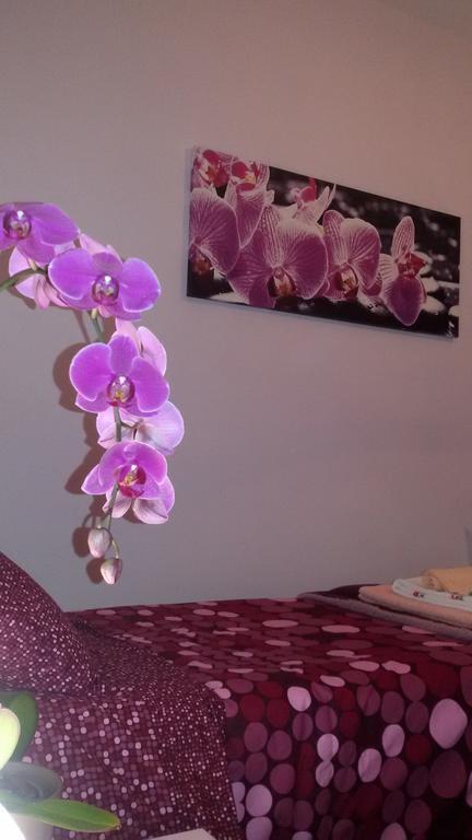 B&B Interno 8 Rome Bilik gambar